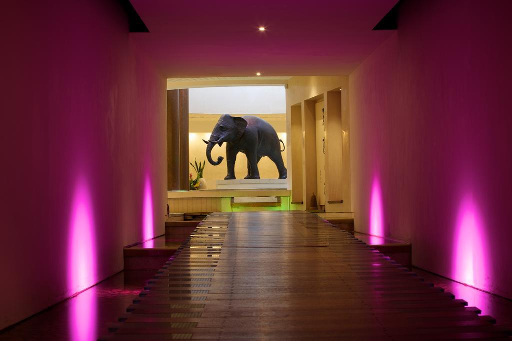Seaham Hall And Serenity Spa Exterior photo
